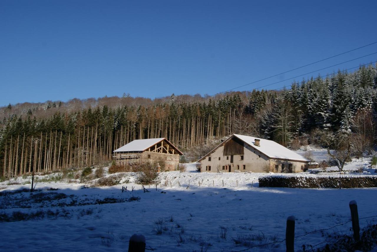Villa La Hutte à Tendon Extérieur photo