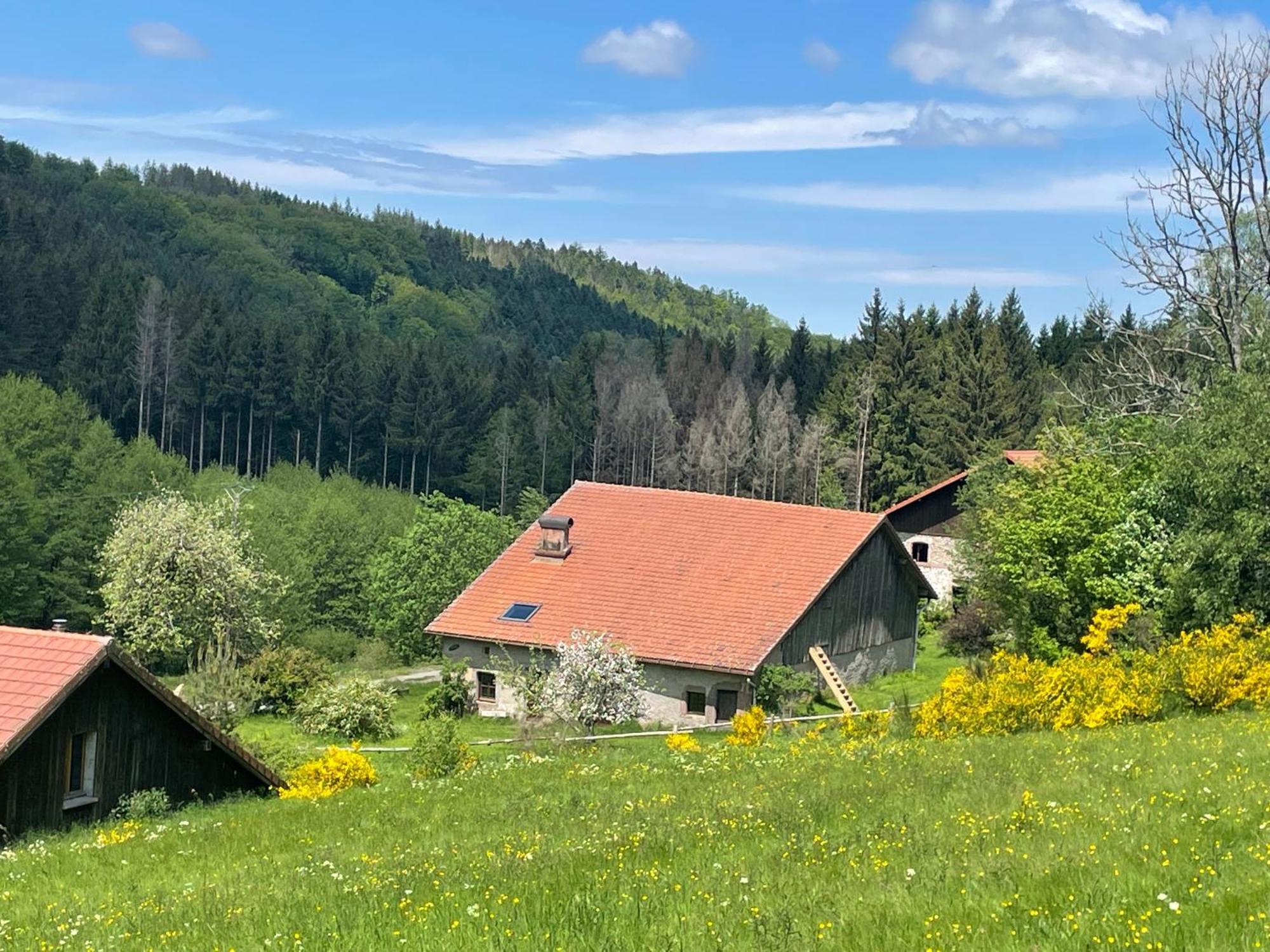 Villa La Hutte à Tendon Extérieur photo