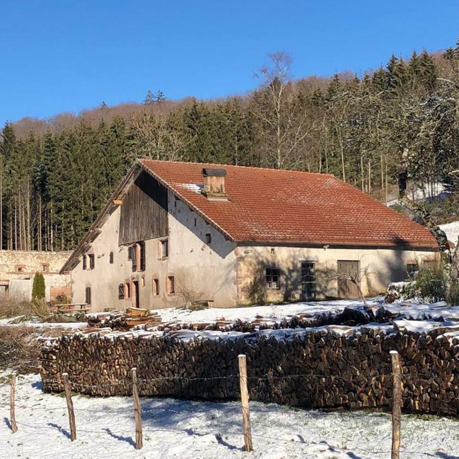 Villa La Hutte à Tendon Extérieur photo