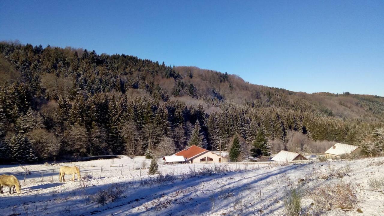 Villa La Hutte à Tendon Extérieur photo