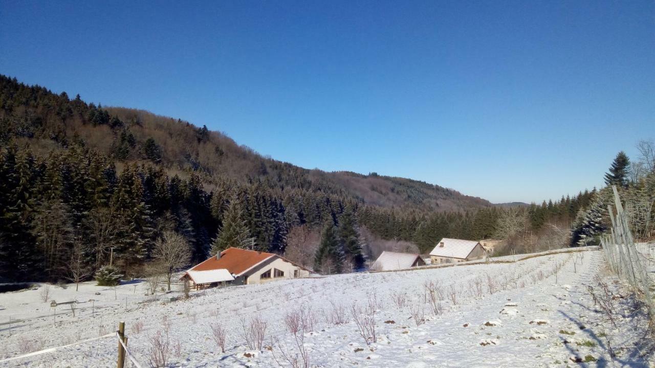 Villa La Hutte à Tendon Extérieur photo