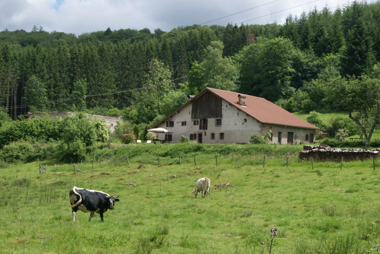 Villa La Hutte à Tendon Extérieur photo
